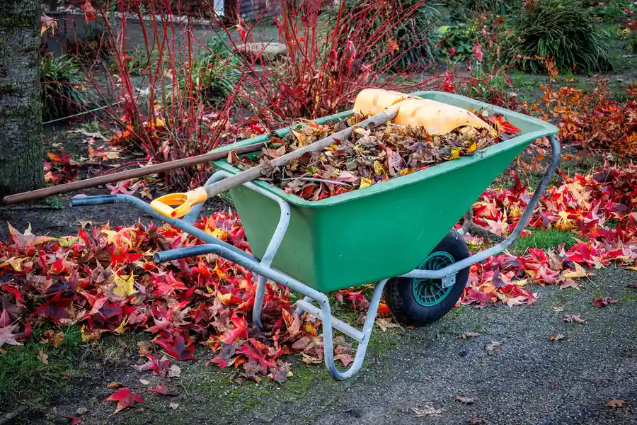 How Yard Cleanup Services Enhance Property Value Hesperia, CA How Yard Cleanup Services Enhance Property Value Hesperia, CA