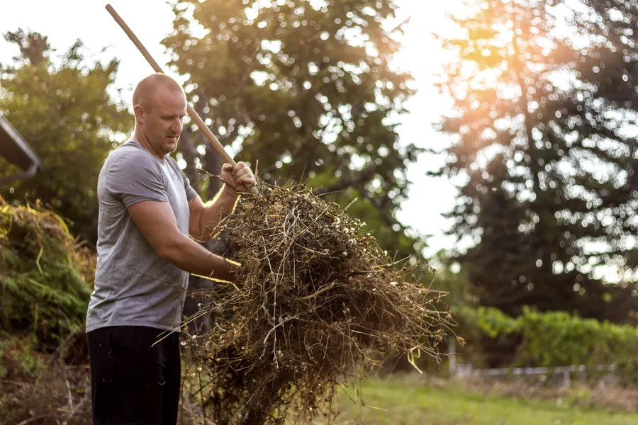 How Yard Cleanup Services Enhance Property Value in Hesperia, CA How Yard Cleanup Services Enhance Property Value in Hesperia, CA