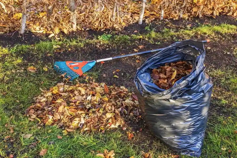 Quality Yard Cleanup Hesperia, CA