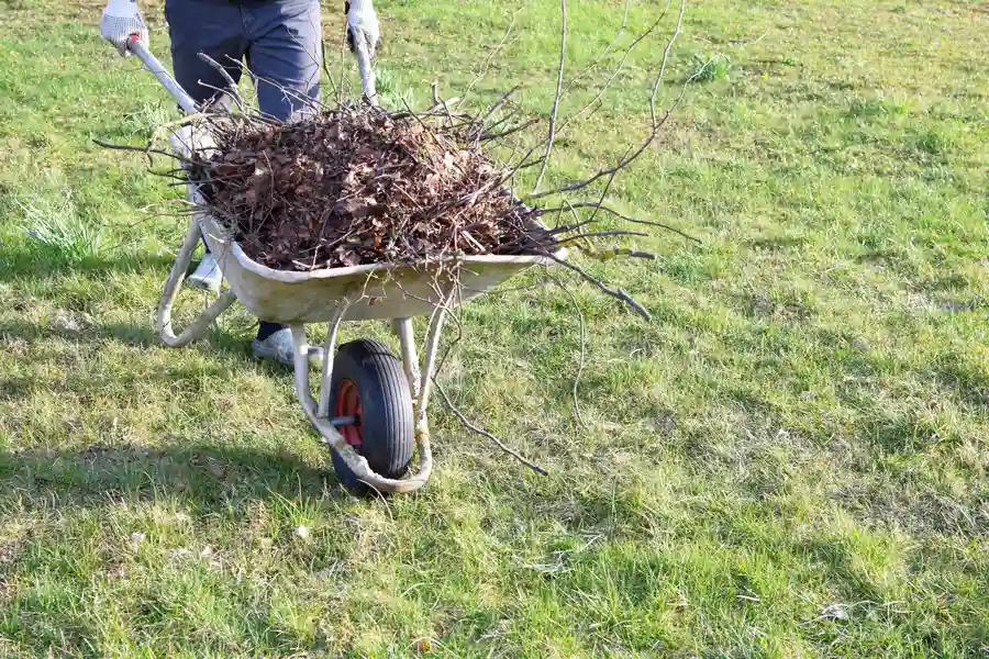 The Role Of Excavating Contractors In Yard Cleanup Projects Hesperia, CA The Role Of Excavating Contractors In Yard Cleanup Projects Hesperia, CA