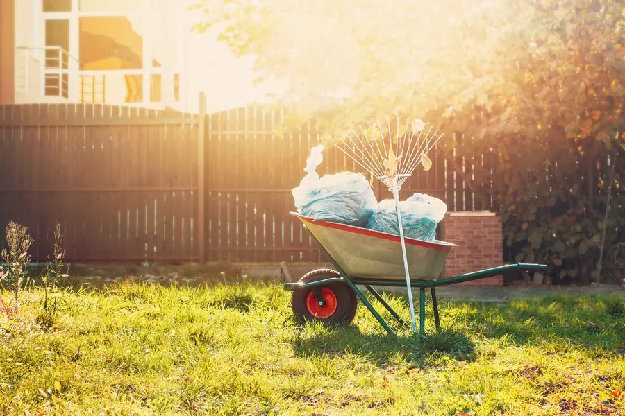 The Role Of Excavating Contractors In Yard Cleanup Projects in Hesperia, CA The Role Of Excavating Contractors In Yard Cleanup Projects in Hesperia, CA